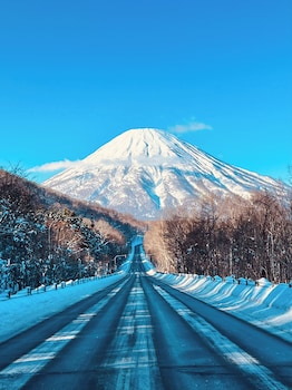 niseko