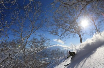 niseko