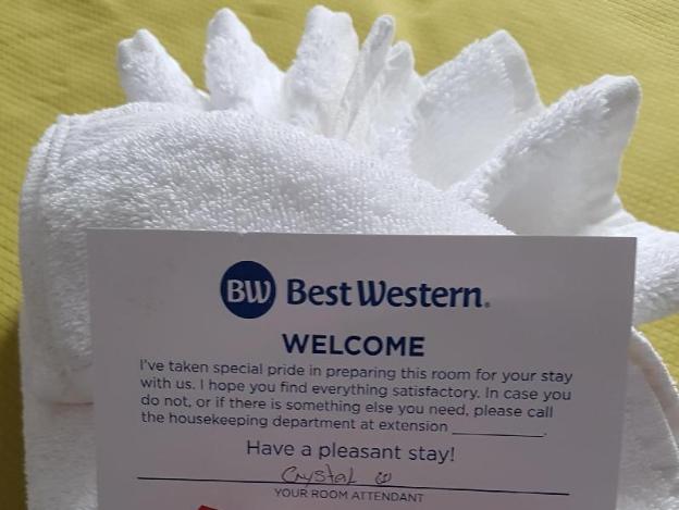 best western plus durham hotel and conference centre