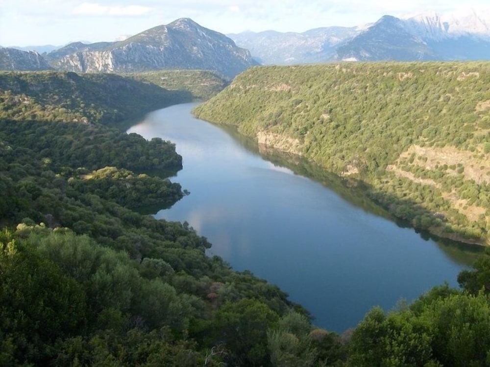 dorgali
