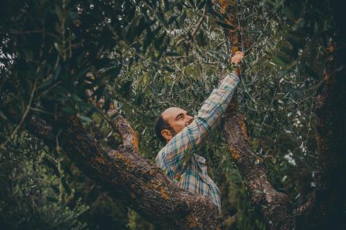 agriturismo buonasera