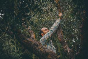 agriturismo buonasera