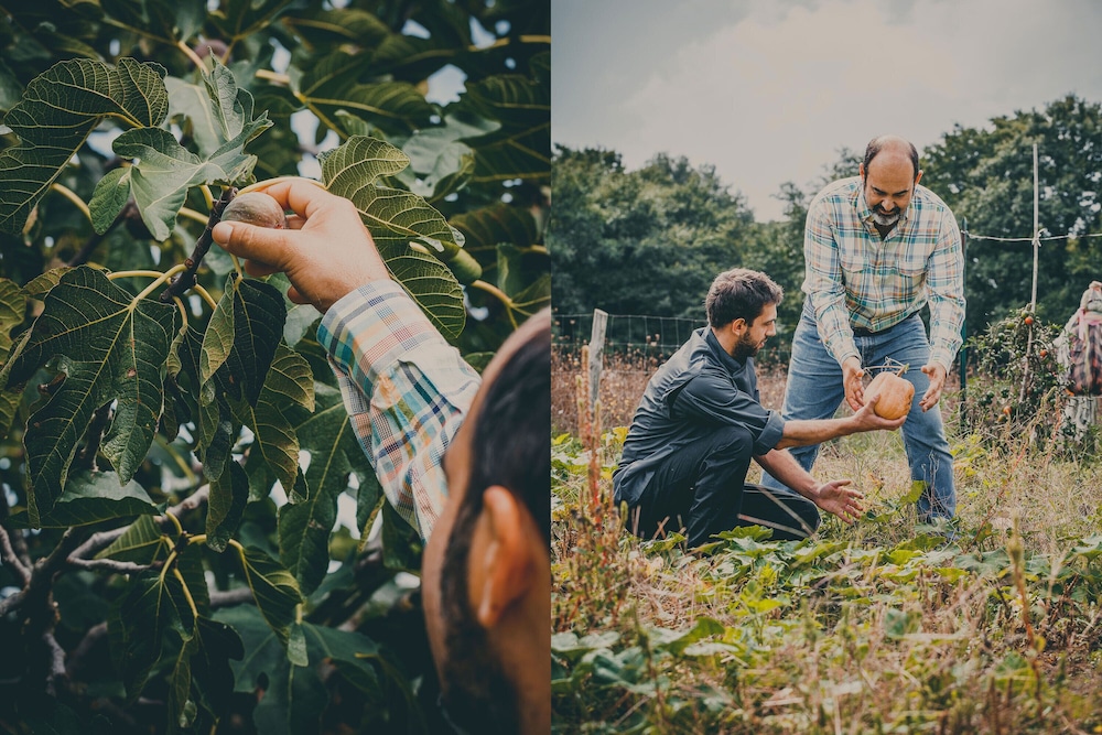 agriturismo buonasera