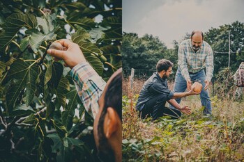 agriturismo buonasera