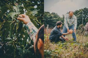 agriturismo buonasera