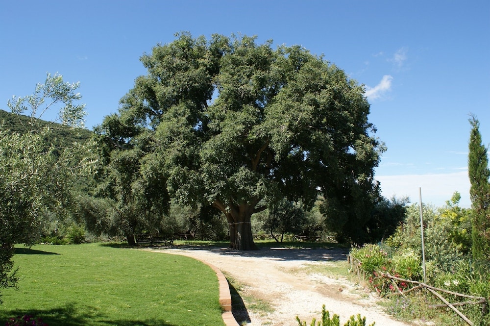 azienda agricola il bagolaro