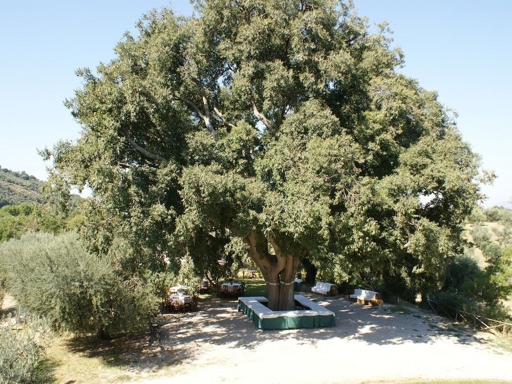 azienda agricola il bagolaro