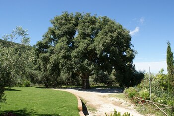 azienda agricola il bagolaro