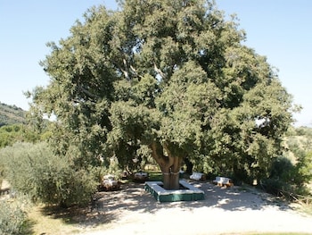 azienda agricola il bagolaro