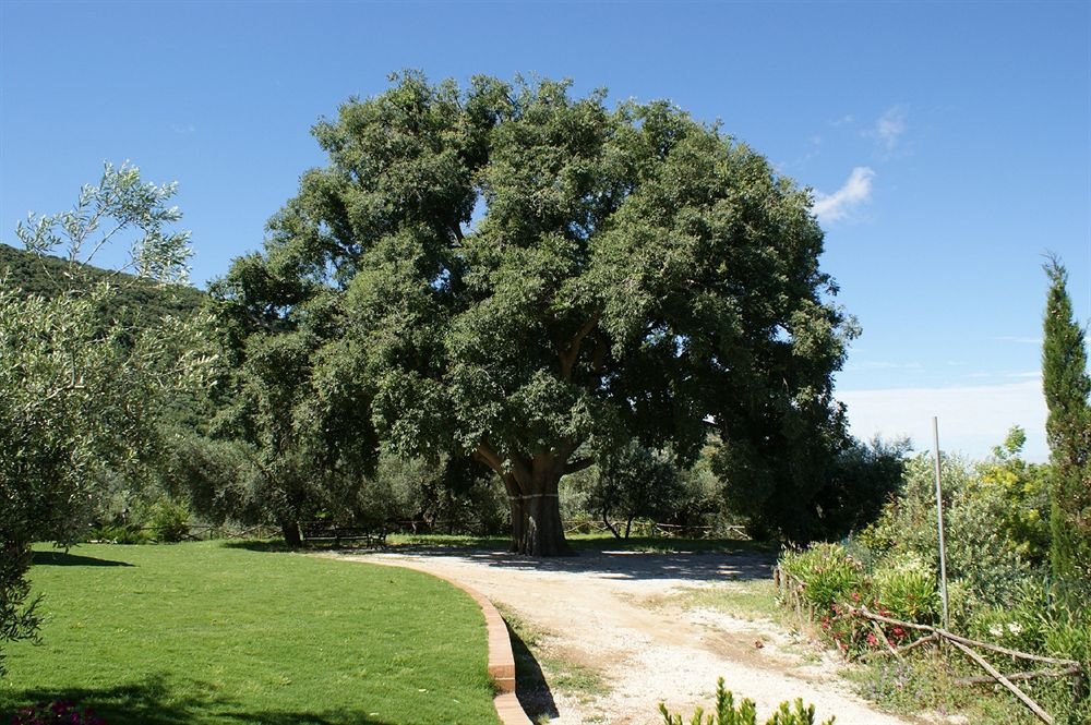 azienda agricola il bagolaro