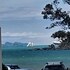 paihia