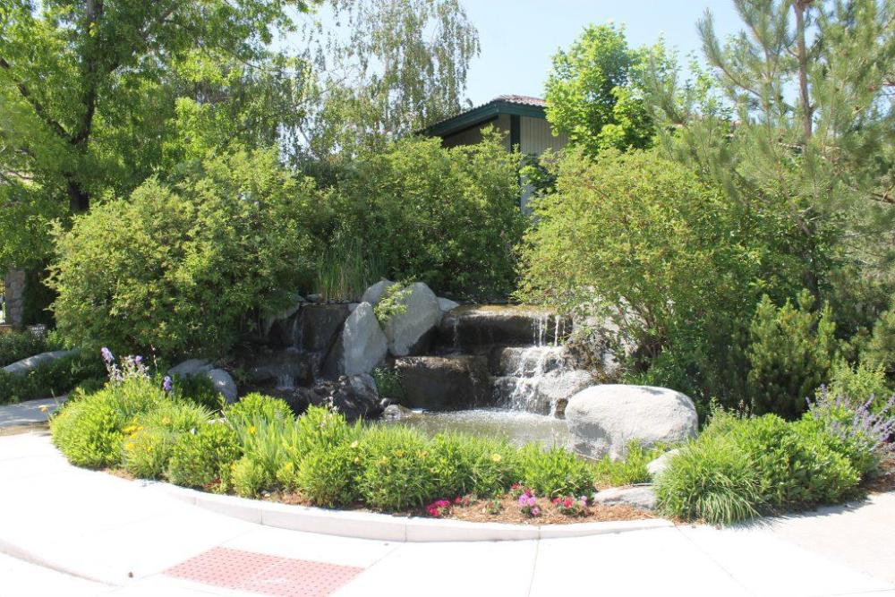 thunderbird resort club