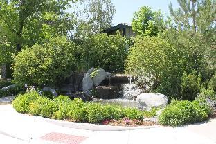 thunderbird resort club