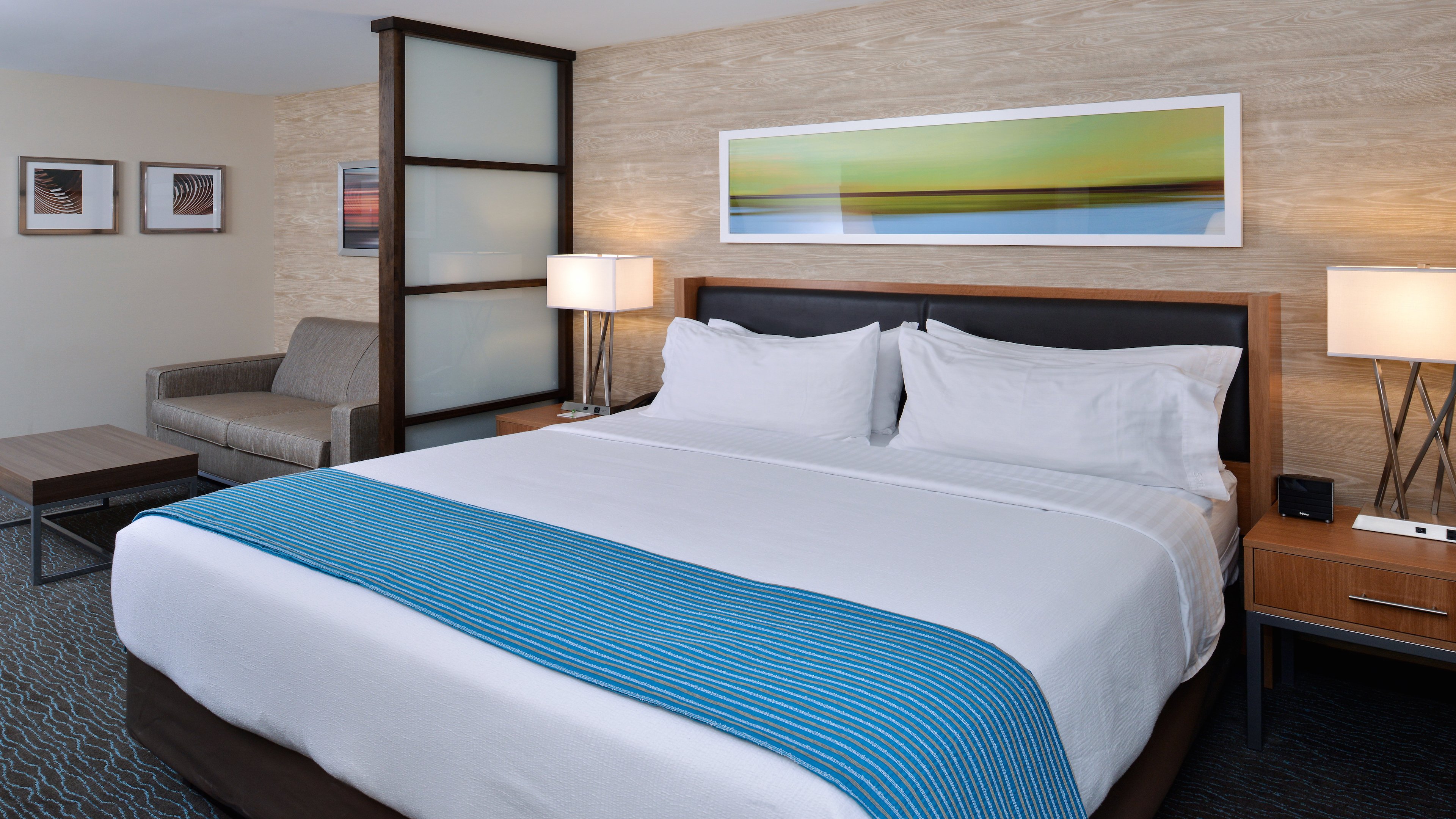 holiday inn and suites edmonton arpt conference ctr