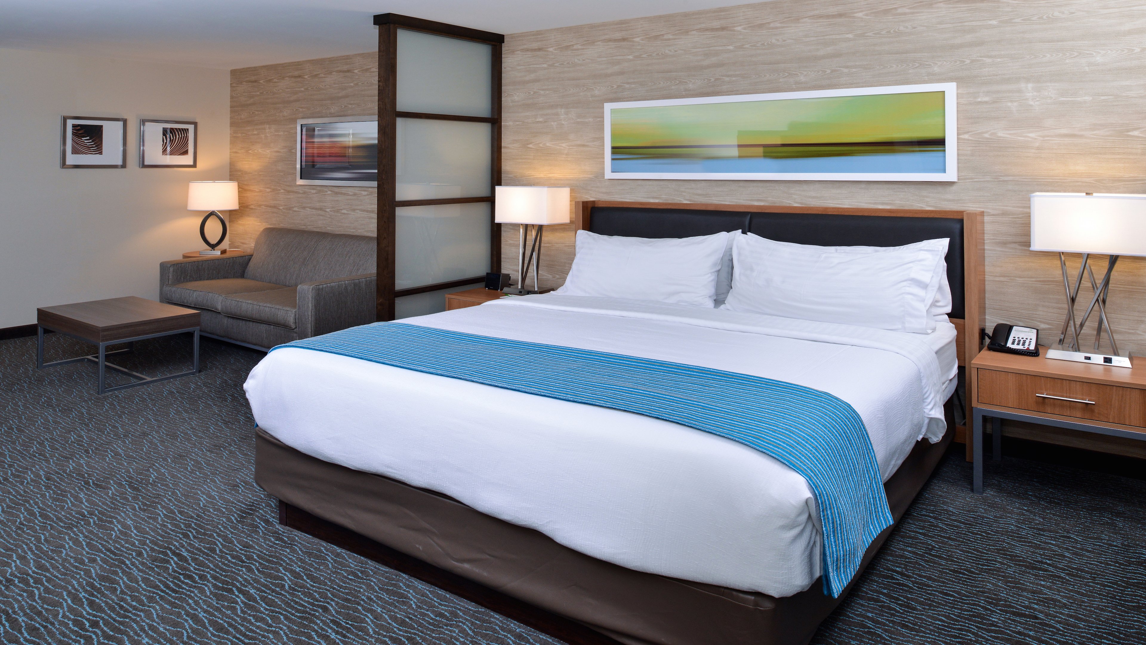 holiday inn and suites edmonton arpt conference ctr
