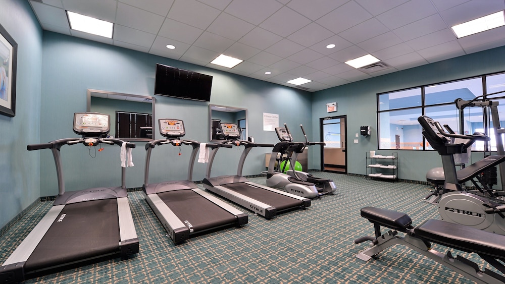 holiday inn and suites edmonton arpt conference ctr