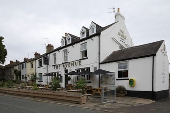 the avenue