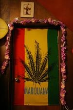 afei surf hostel house 1