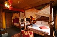 afei surf hostel house 1