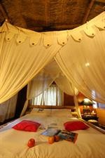 afei surf hostel house 1