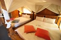 afei surf hostel house 1