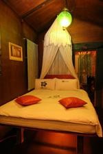 afei surf hostel house 1