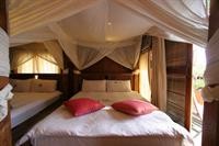 afei surf hostel house 1