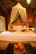 afei surf hostel house 1