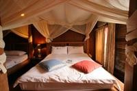 afei surf hostel house 1