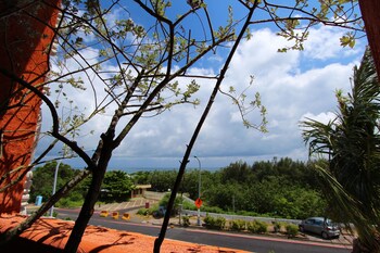 afei surf hostel house 1