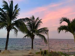 niu ohana east bay apartments