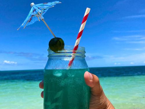 niu ohana east bay apartments