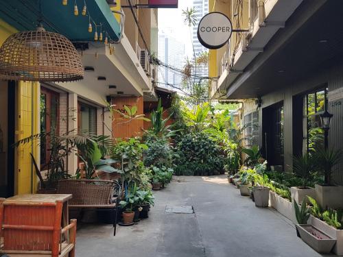 cooper hostel