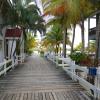 las palmas beach hotel