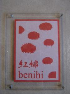 guesthouse hyakumanben cross