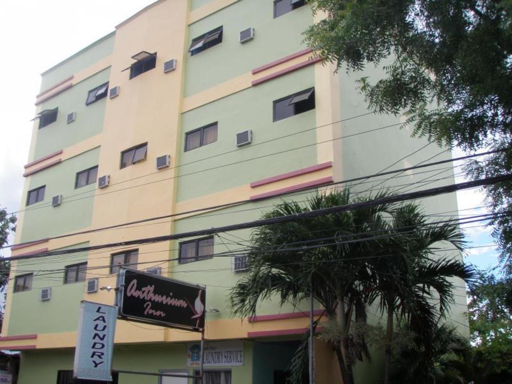 anthurium inn