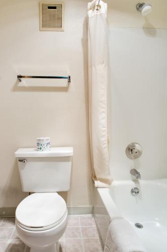 guesthouse fife
