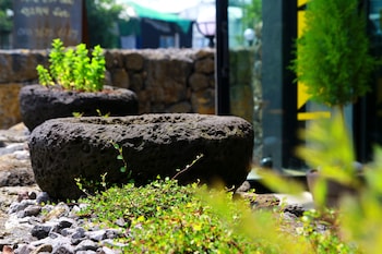 jeju baraki