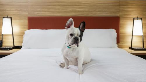 extended stay america jacksonville