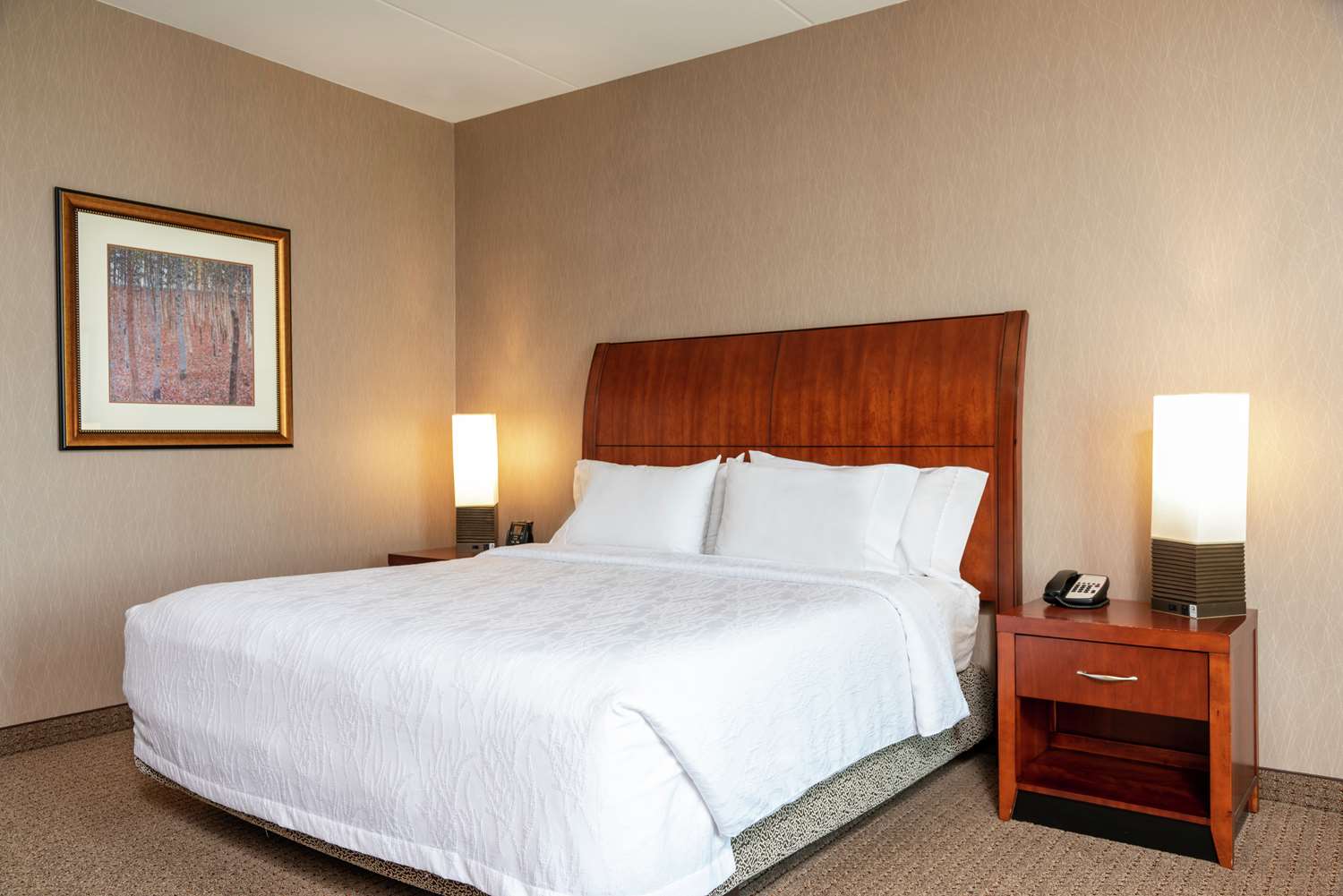 hilton garden inn columbus edinburgh