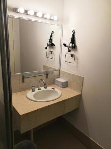 criterion hotel perth