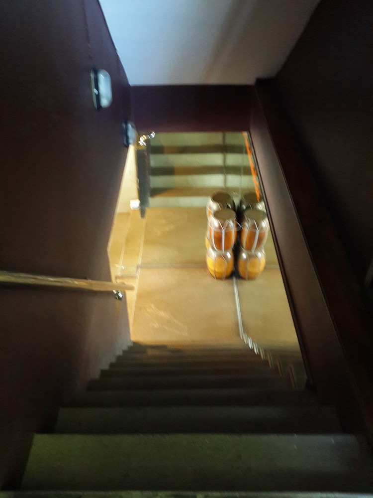 coffee island hostel
