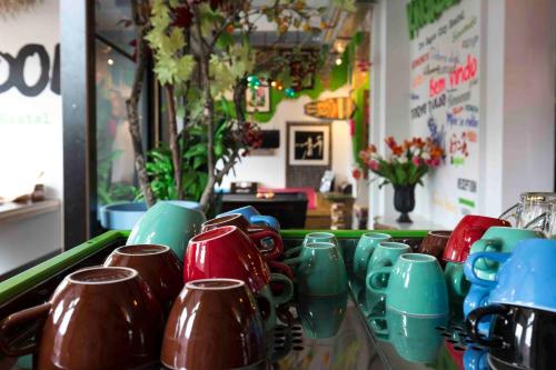 will and tate city stay