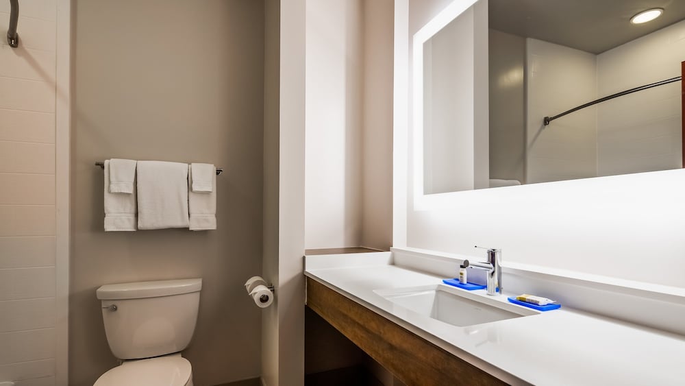 holiday inn express and suites detroit farmington hills