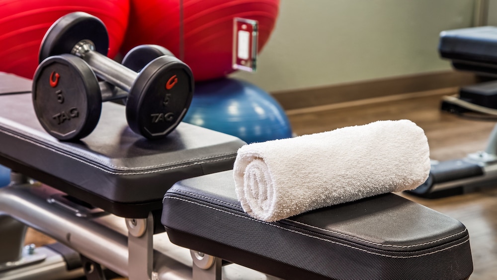 holiday inn express and suites detroit farmington hills