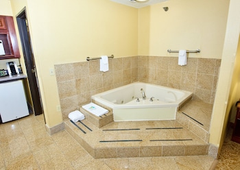 Holiday Inn Express And Suites St. Louis West Fent,St. Louis>>Fenton,3 star