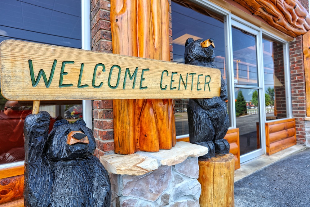 wild bear inn