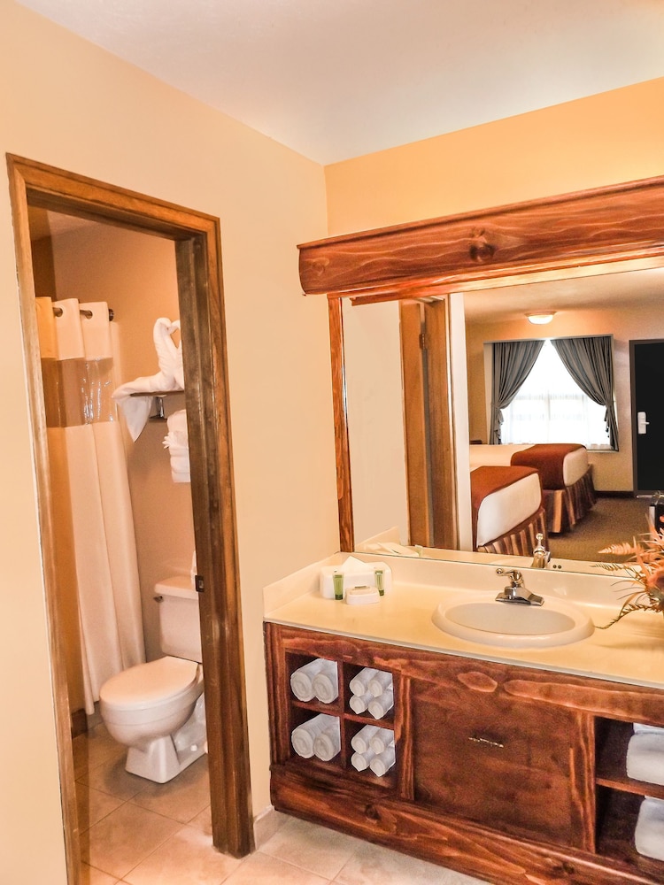 wild bear inn
