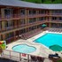 wild bear inn