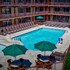 wild bear inn